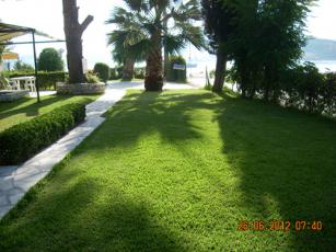 dscn3132_b.jpg