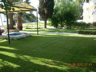 dscn3138_b.jpg