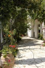 garden_2.jpg